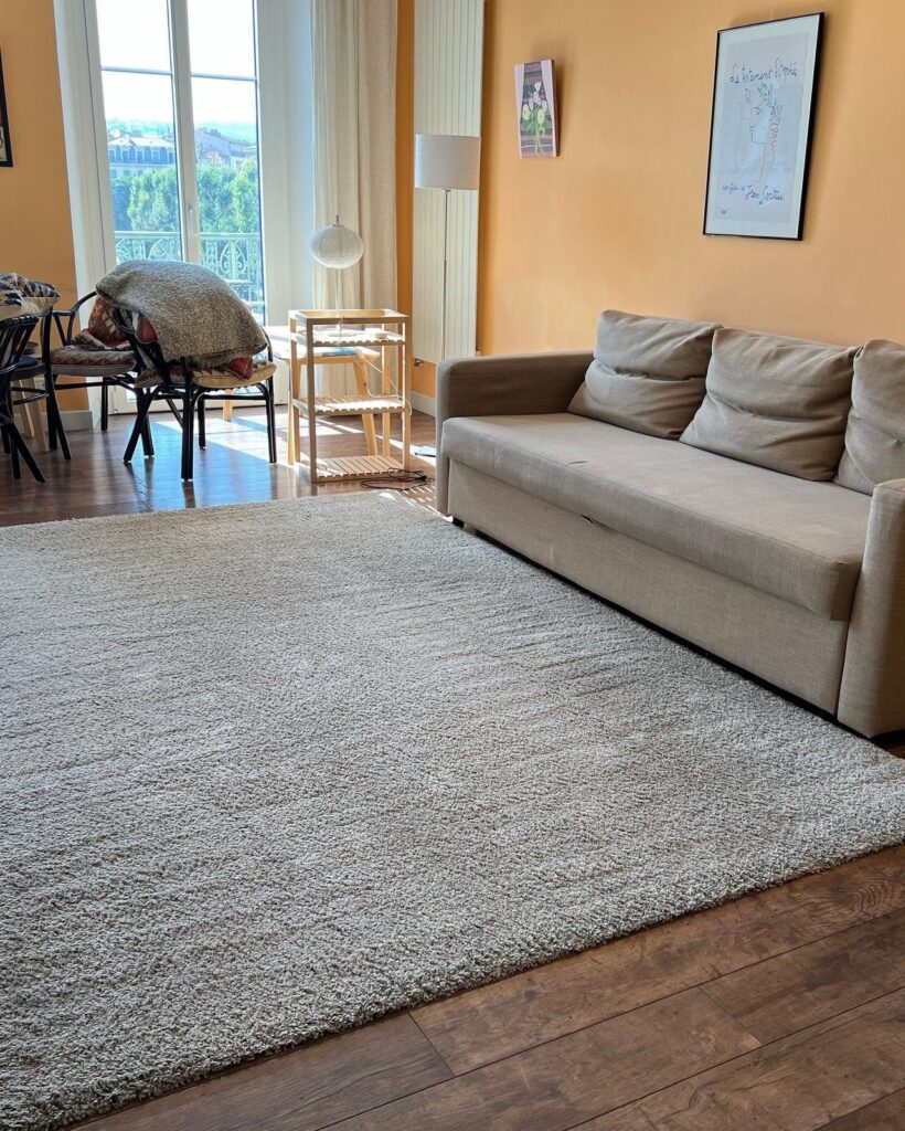 Tapis à poils longs et canapé nettoyés dans un séjour à Nice